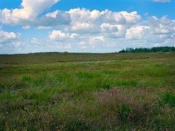 IMGP6258_Borris Soenderland